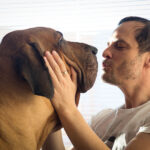 Dog communicating with owner through body language and trust