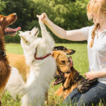 Happy owner bonding with dog outdoors showing love and companionship