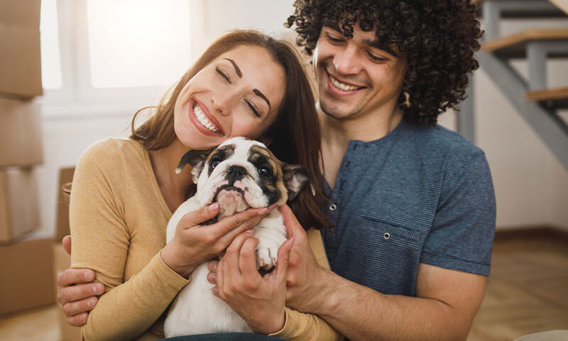 Happy puppy in a cozy home environment surrounded by toys and essentials