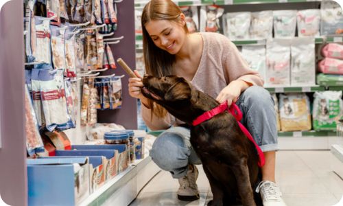 edogs_pet_store